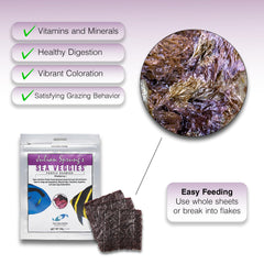 Color morado vibrante para fomentar el pastoreo de tangs y surgeonfish