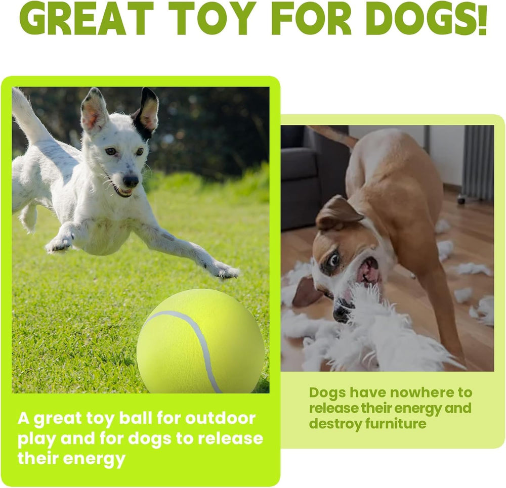 TYLIN regalo de Navidad para perro, fomenta ejercicio y juego.