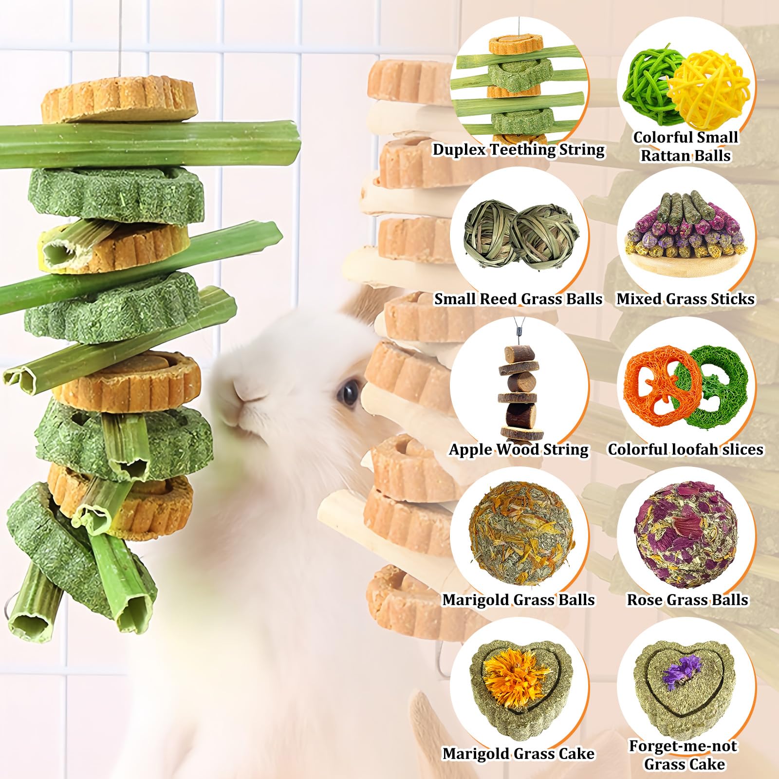 Tyotrbs Estimulacion mental animales pequeños — juego y exploración