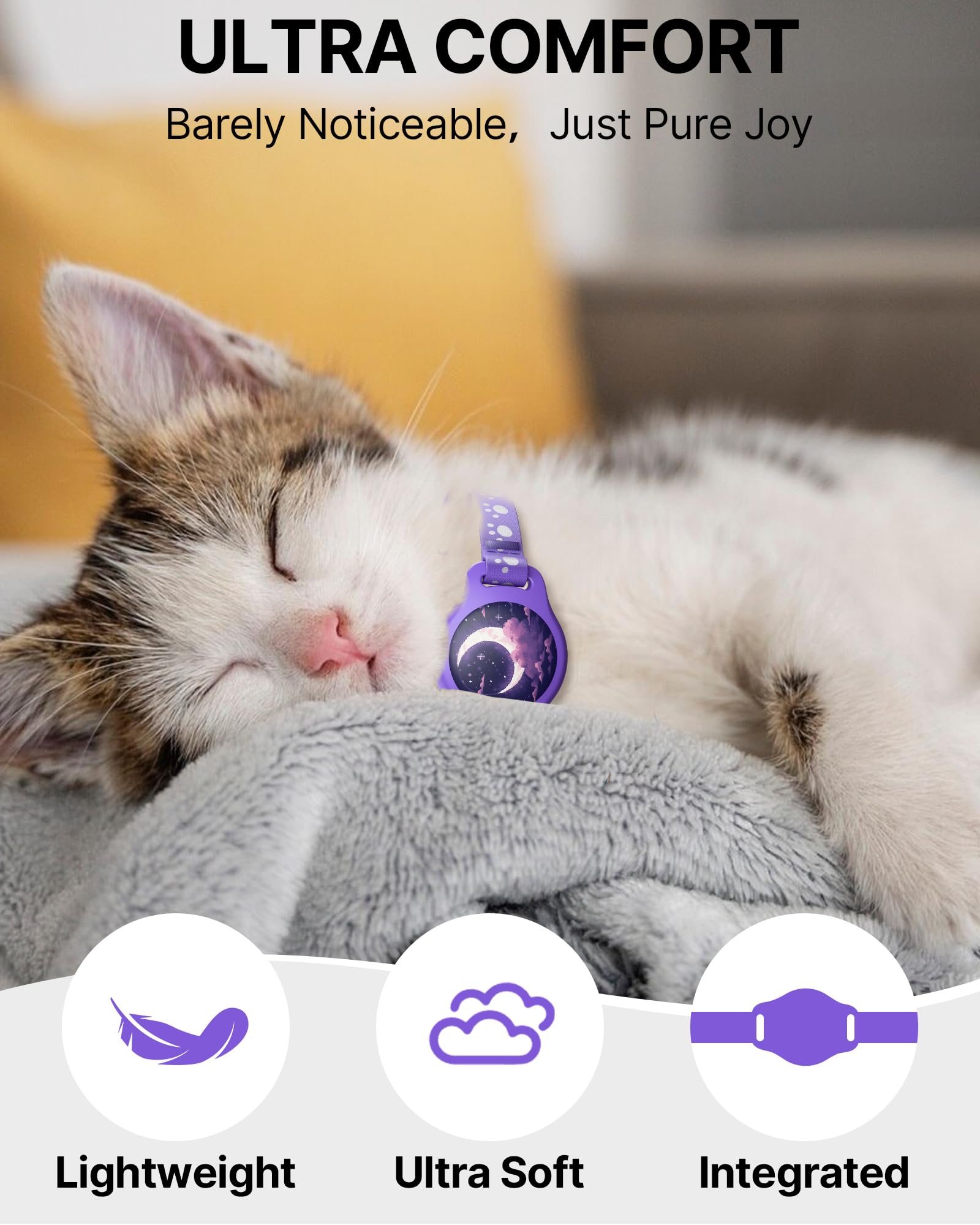 typecase collar rastreador-gato diseño-dibujos color morado