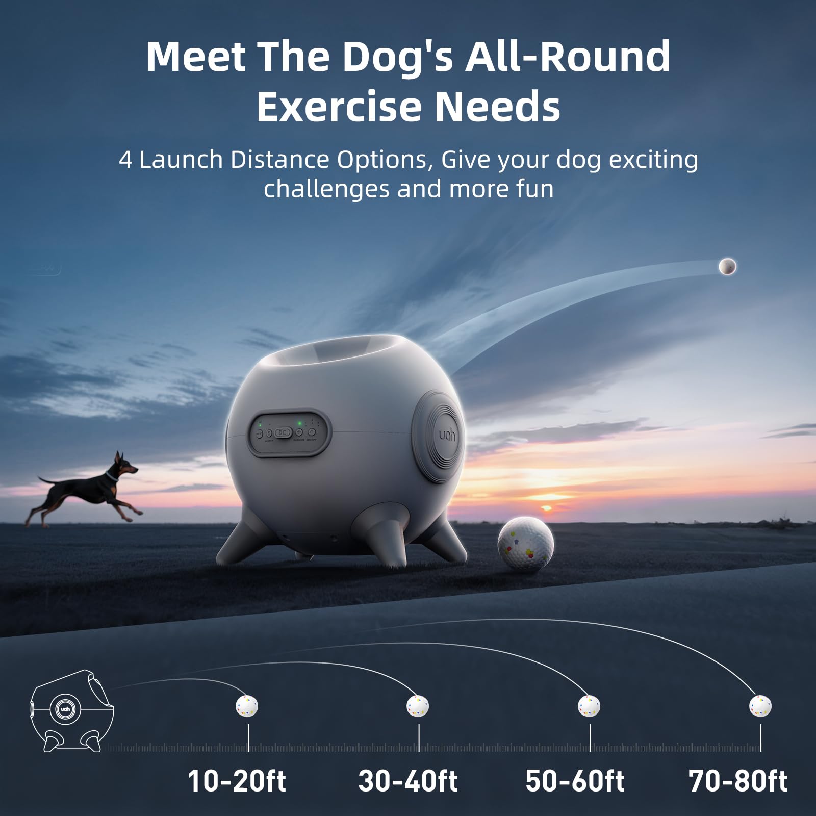 lanzamiento directo con el lanzador de bolas uahpet para perros