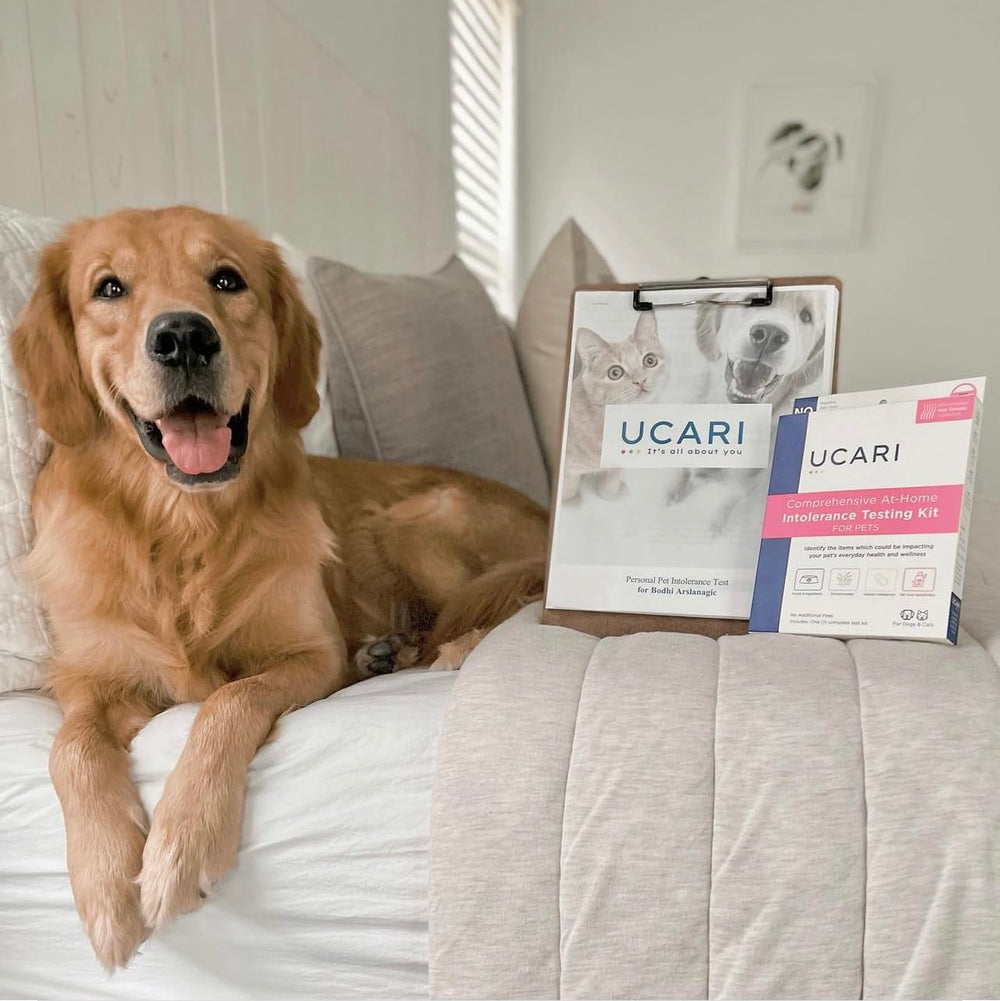 UCARI informe práctico para ajustar dieta y entorno de tu mascota.