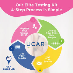 UCARI instrucciones de registro en línea para iniciar la prueba fácilmente.