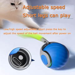 ugdurwp Speedy 2.0 Tail: control de doble velocidad para gatos