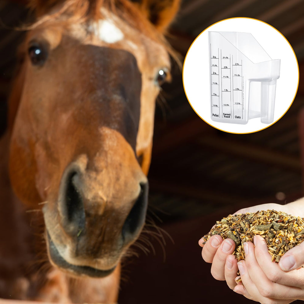 Uiifan cuchara para alimentación animal reduce derrames y desperdicio