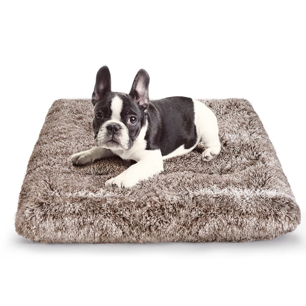 ULIGOTA cama-jaula-perro-peluche, superficie suave para descanso reconfortante