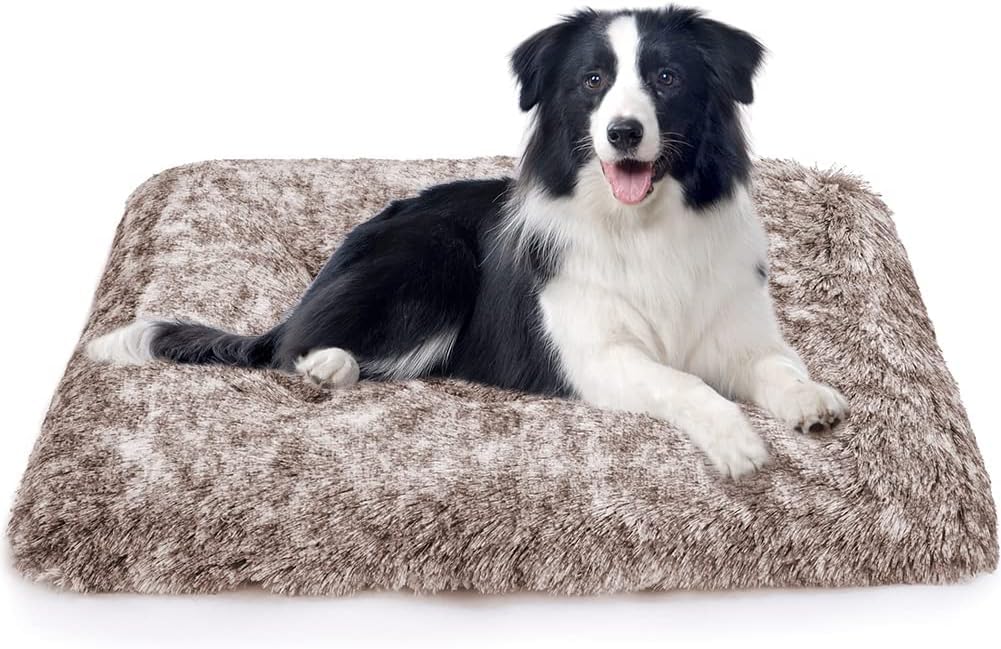 ULIGOTA cama-perro-para-caja-transporte, diseño práctico para mover mascotas