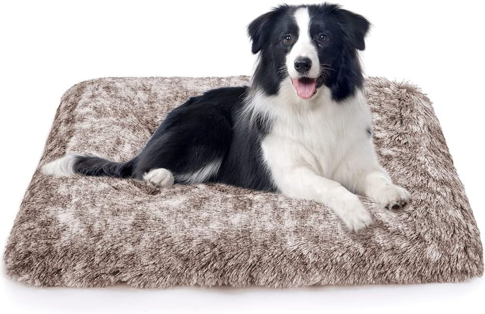 ULIGOTA cama-perro-para-caja-transporte, diseño práctico para mover mascotas
