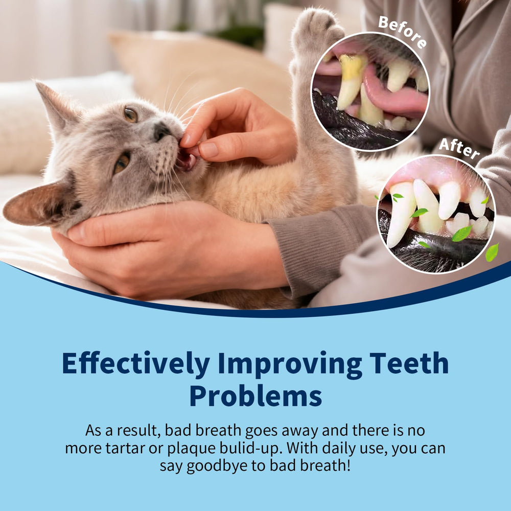Ulroyda cepillo dental para gato con mango largo llega a zonas difíciles.