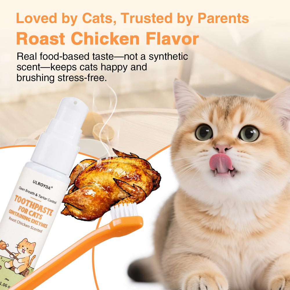 Conjunto dental ulroyda para gatos, todo en uno