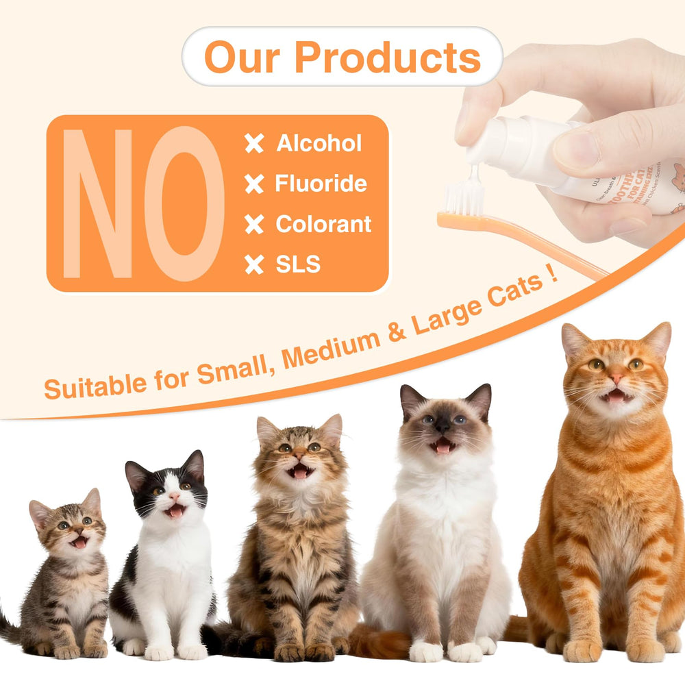 Presentación del conjunto dental ulroyda para gatos, práctico y compacto