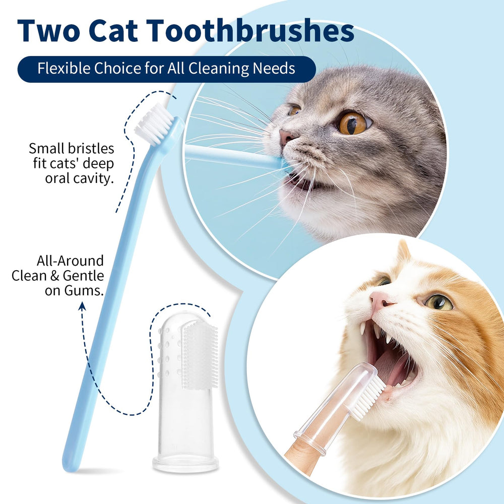 Ulroyda cuidado dental diario para gatos ayuda a mantener dientes limpios.