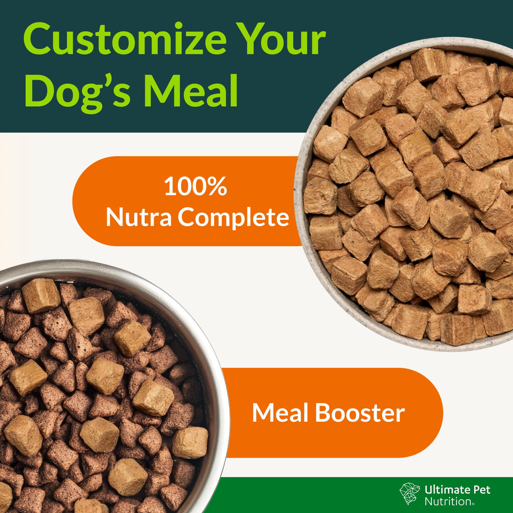 Nutra Complete Infusions en cuenco: mezcla fácil con la comida habitual del perro.