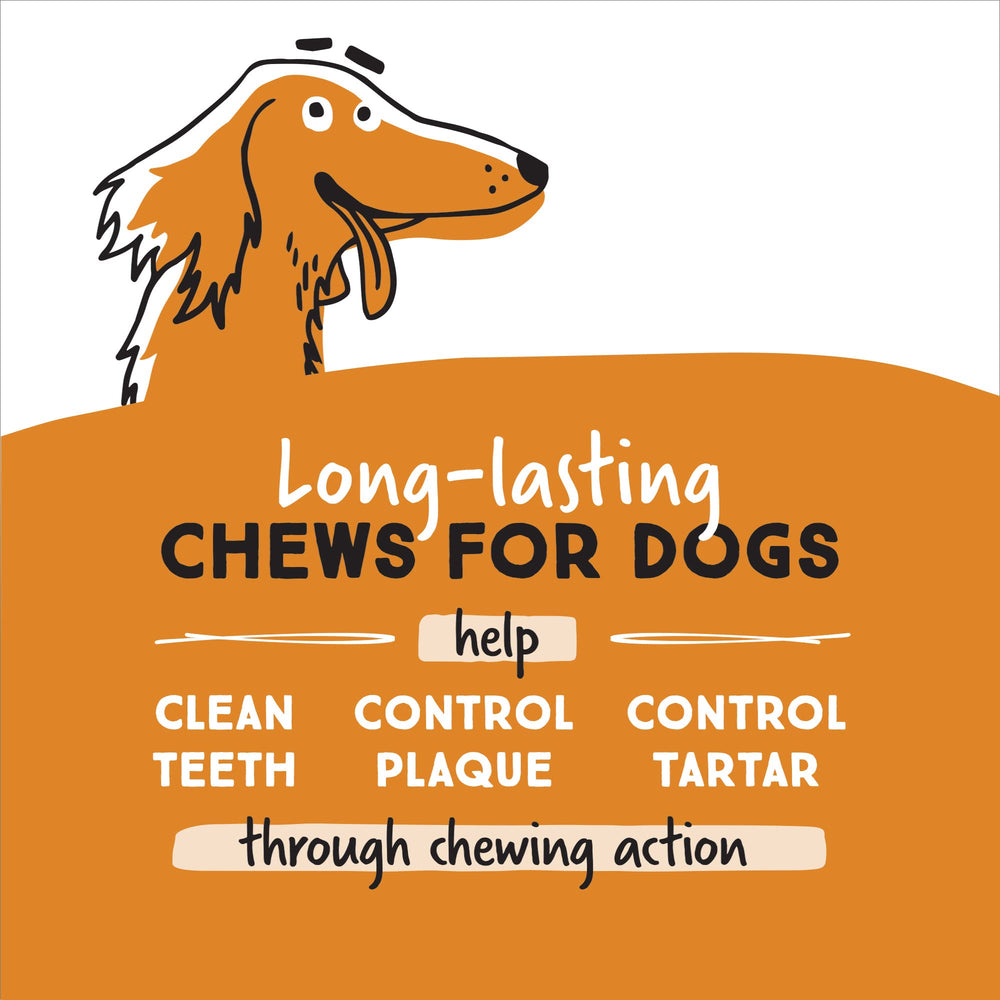 Ultra Chewy huesos en masticación, duración prolongada para perros agresivos.