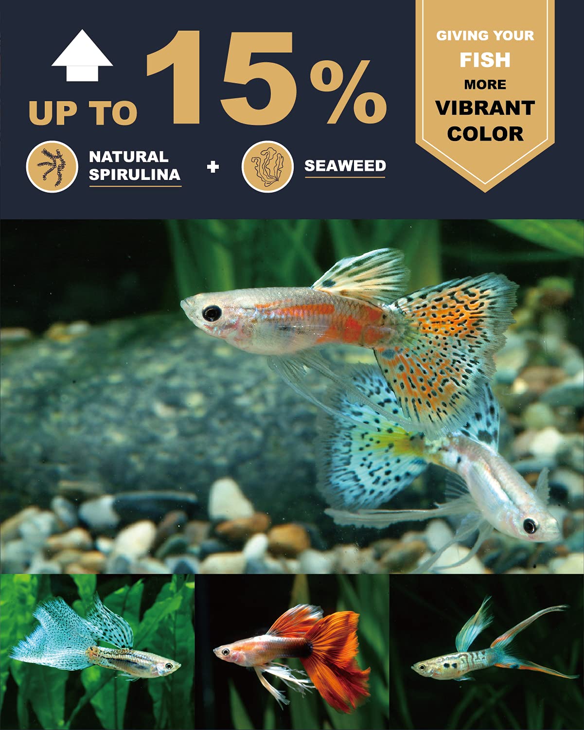 Ultra Fresh favorece crecimiento saludable de los peces en el acuario