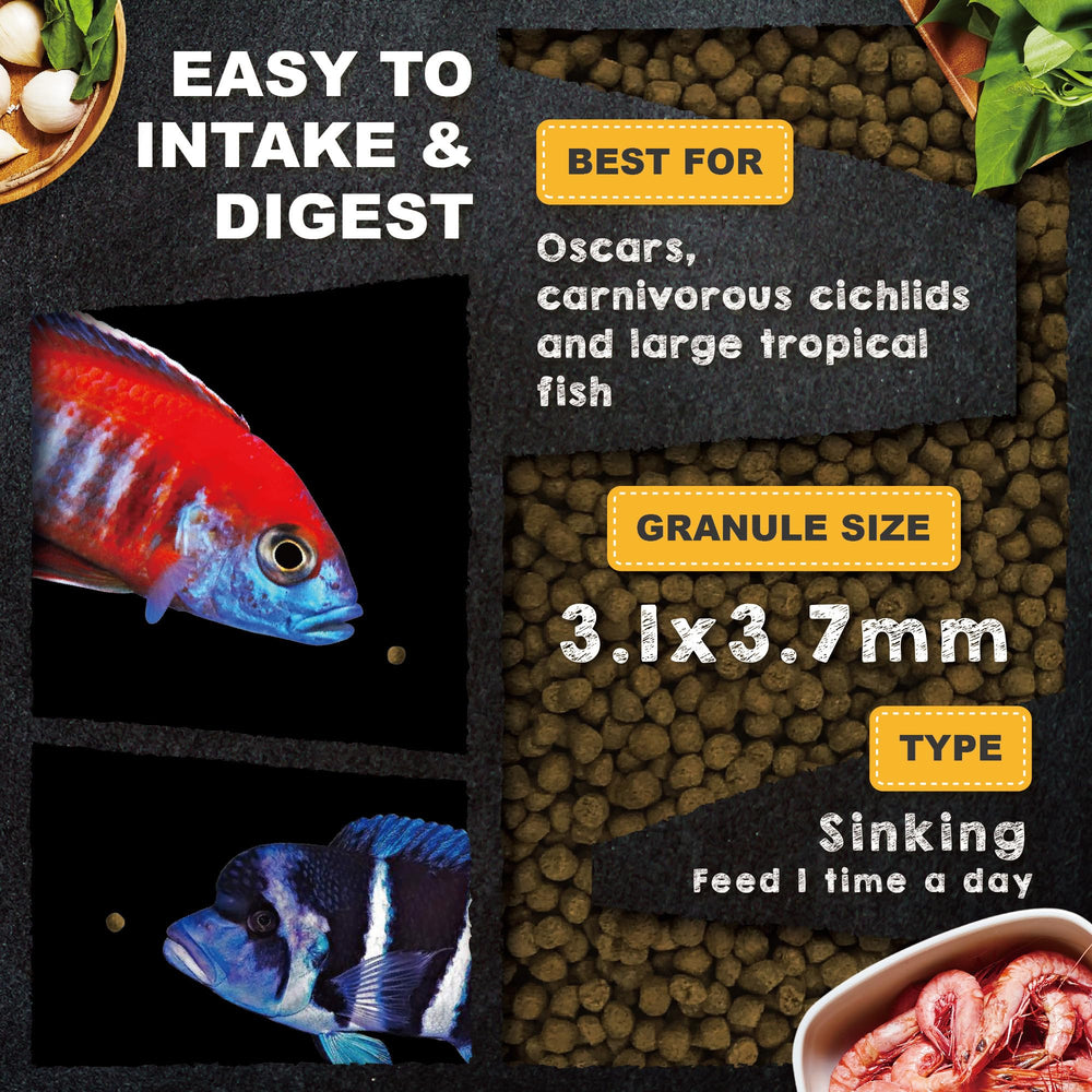 Coloración natural mejorada gracias a algas y espirulina en Ultra Fresh Royal Cichlid.