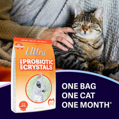 ULTRA Probiotic Crystals, primer plano de cristales de sílice, textura suave