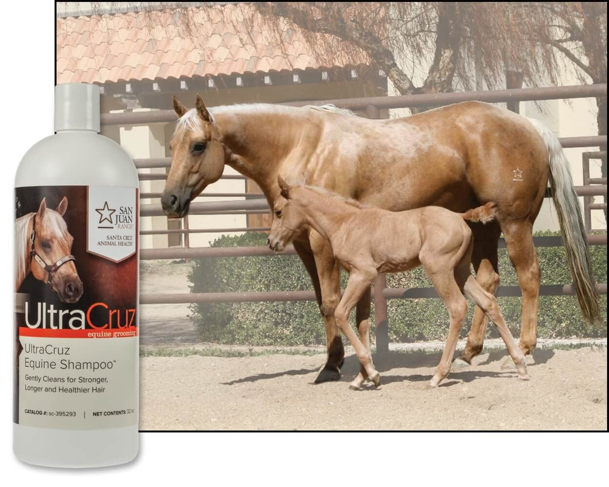 UltraCruz champú equino piel sin irritacion, ideal para caballos sensibles