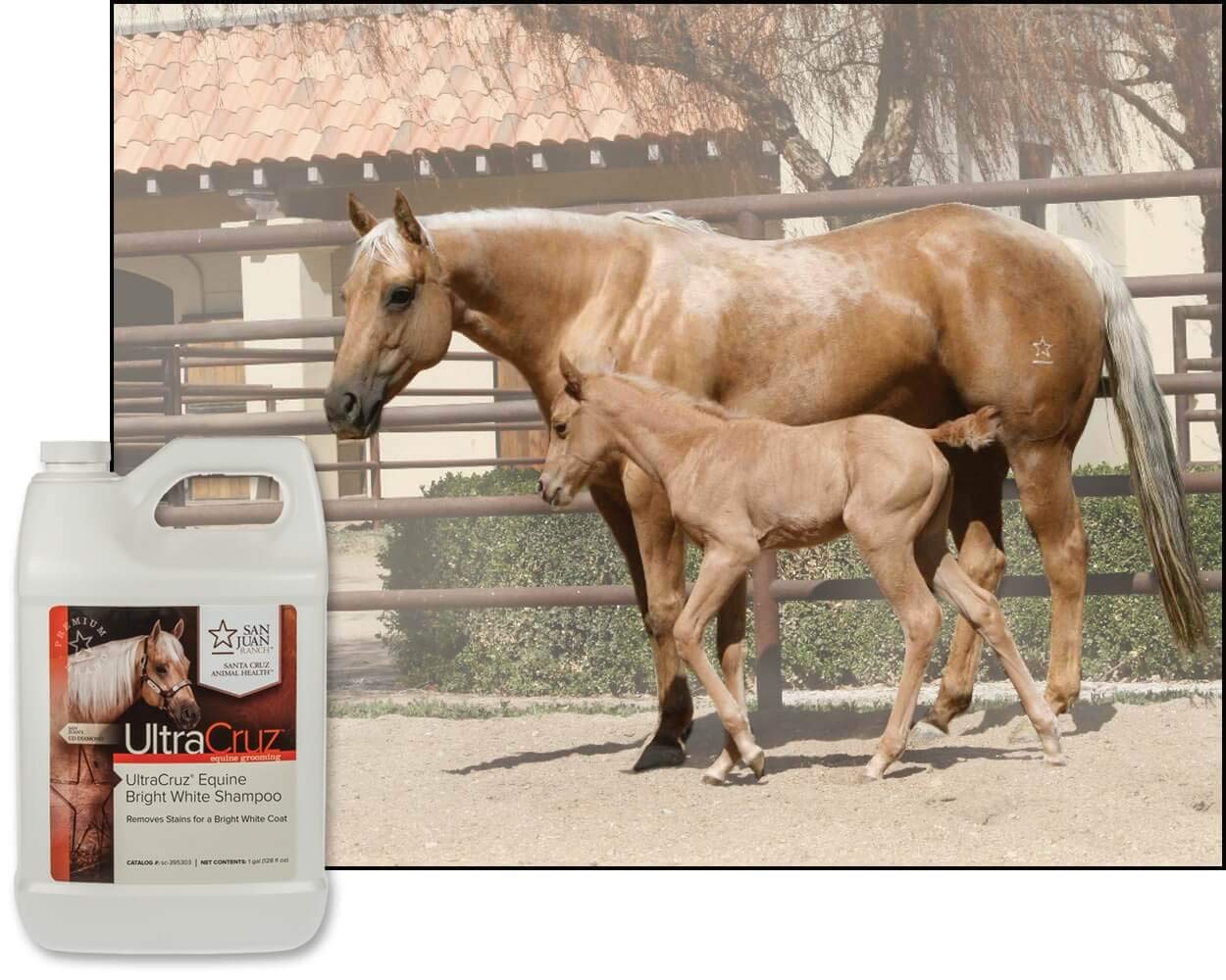 UltraCruz Equine Bright White Shampoo etiqueta clara con ingredientes naturales y origen estadounidense.