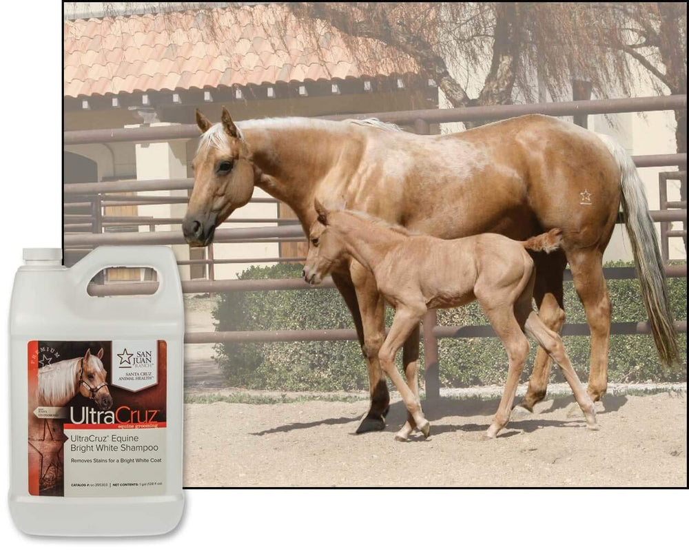 UltraCruz Equine Bright White Shampoo etiqueta clara con ingredientes naturales y origen estadounidense.