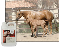 UltraCruz Equine spray natural en establo exterior, protección al aire libre para caballos
