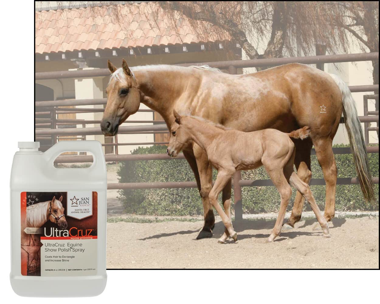 UltraCruz Equine Show Polish Spray: acabado lustroso para exhibiciones y competencia