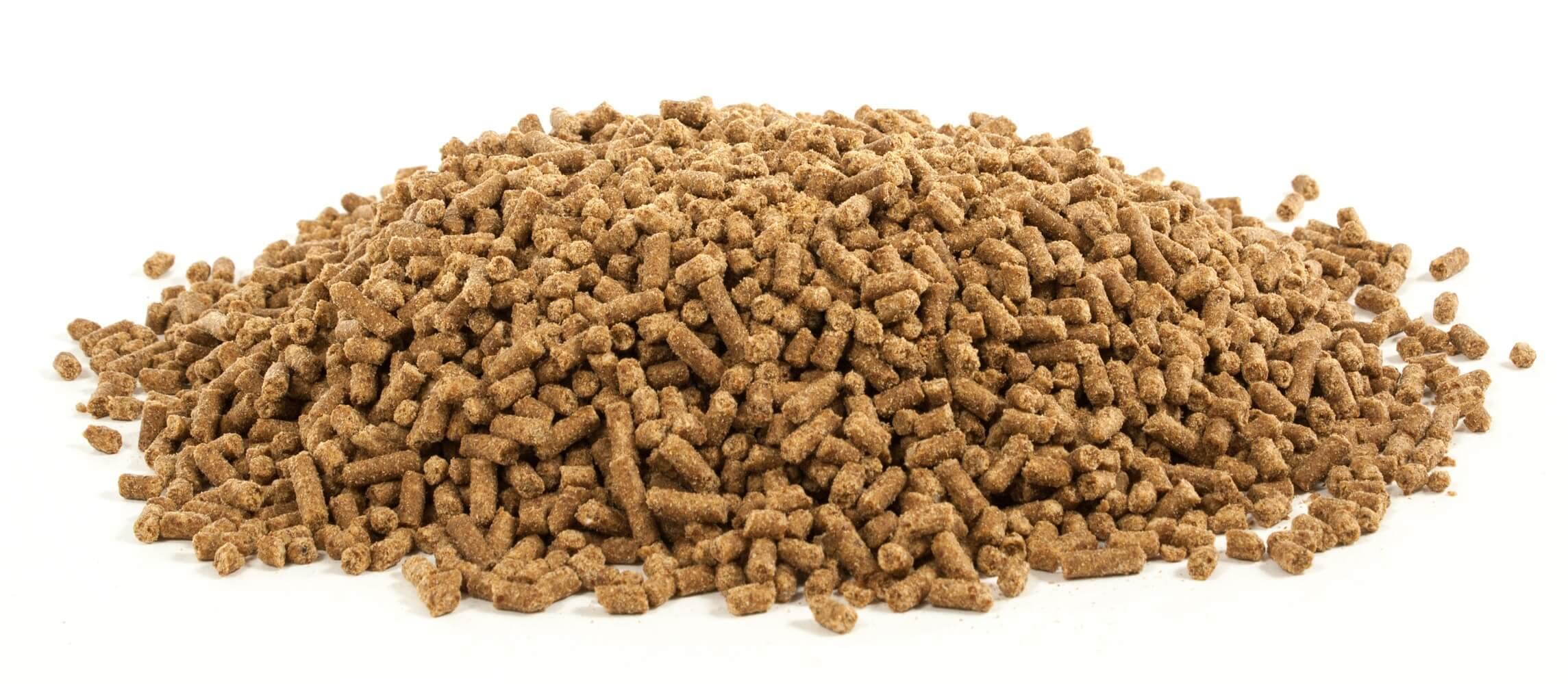 Pellets UltraCruz mezclándose con la ración diaria para apoyar movilidad.
