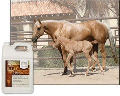 UltraCruz suplemento equino, aceite de sabor agradable, aporta calorías extra y energía.