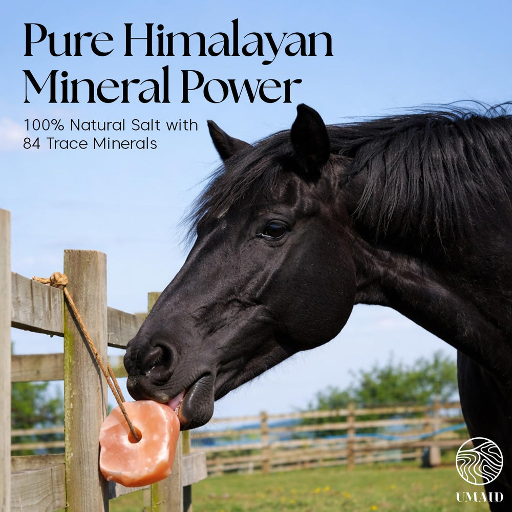 UMAID sal Himalayan con 84 minerales; aporta nutrientes para el día a día.