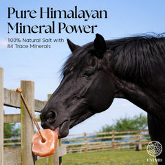 UMAID sal Himalayan con 84 minerales; aporta nutrientes para el día a día.