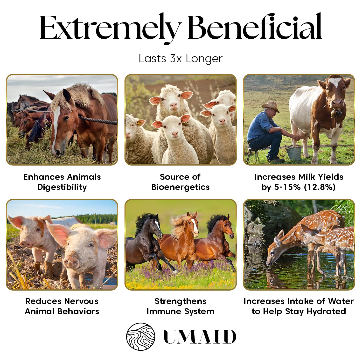 UMAID sal Himalayan con calcio y magnesio; nutrientes esenciales para el desarrollo animal.
