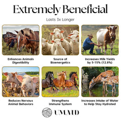 UMAID sal Himalayan con calcio y magnesio; nutrientes esenciales para el desarrollo animal.