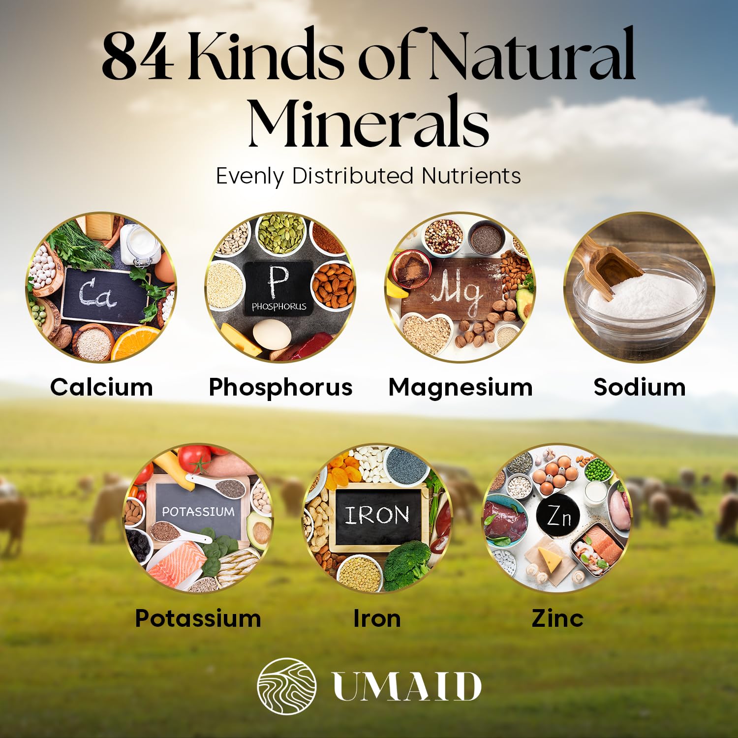 UMAID sal Himalayan con cristales visibles; detalle de la roca sal.