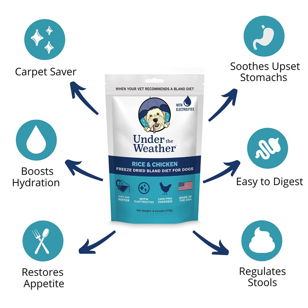 Under the Weather Diet Blanda para perros: agua para rehidratar la comida