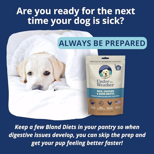 Under the Weather Bland Diet para perros, ingredientes 100% grado humano sin subproductos.