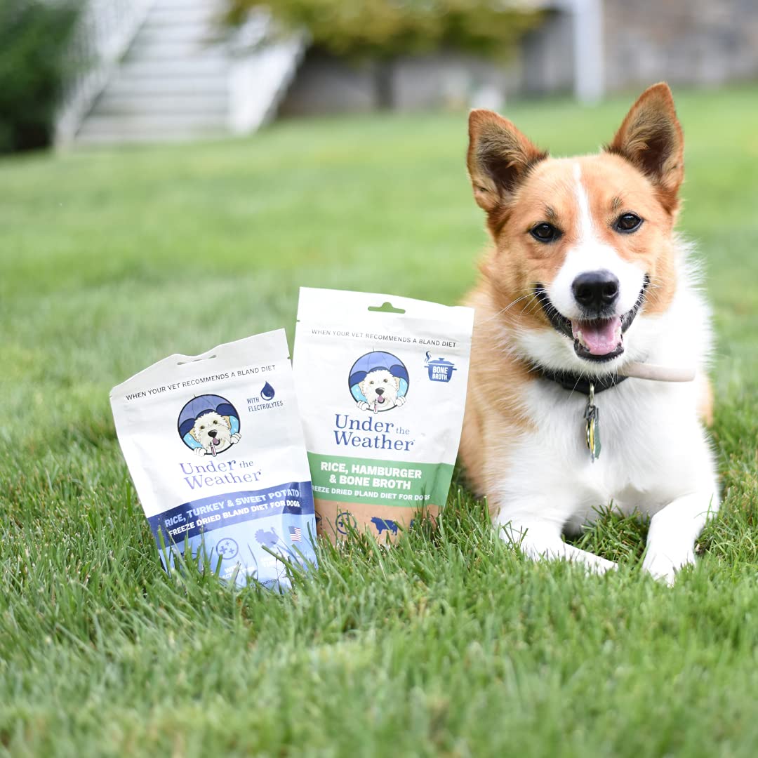 Under the Weather Diet Blanda para perros: ingredientes, pollo de grado humano y arroz