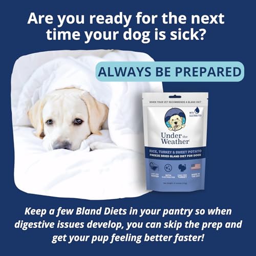 Under the Weather Bland Diet para perros: preparación con agua para digestión sensible