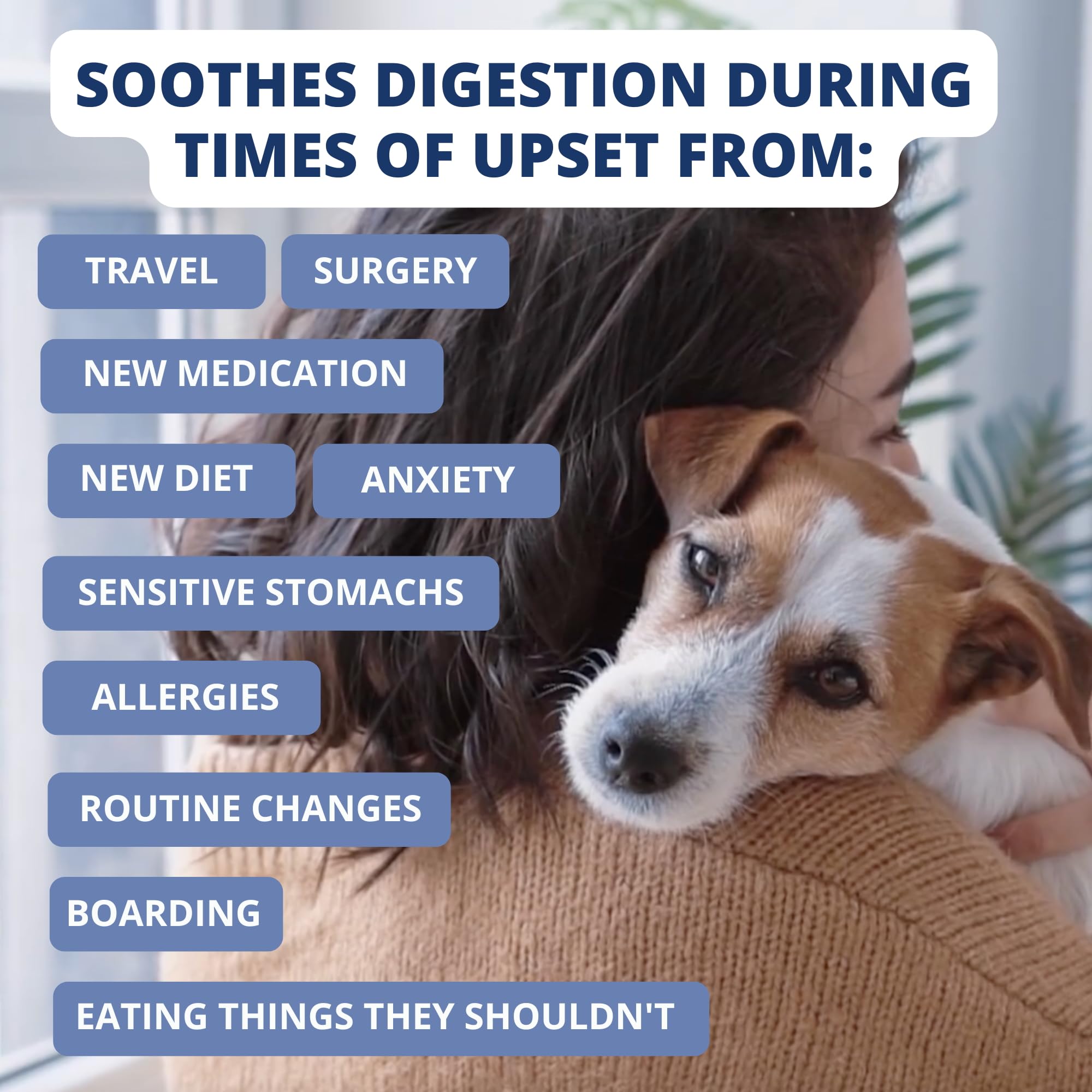 Under the Weather Bland Diet: sin cocción, listo para usar