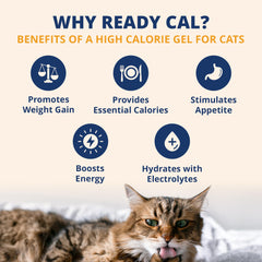 Under the Weather gel sabor salmon para gatos, sabor agradable que facilita su consumo.