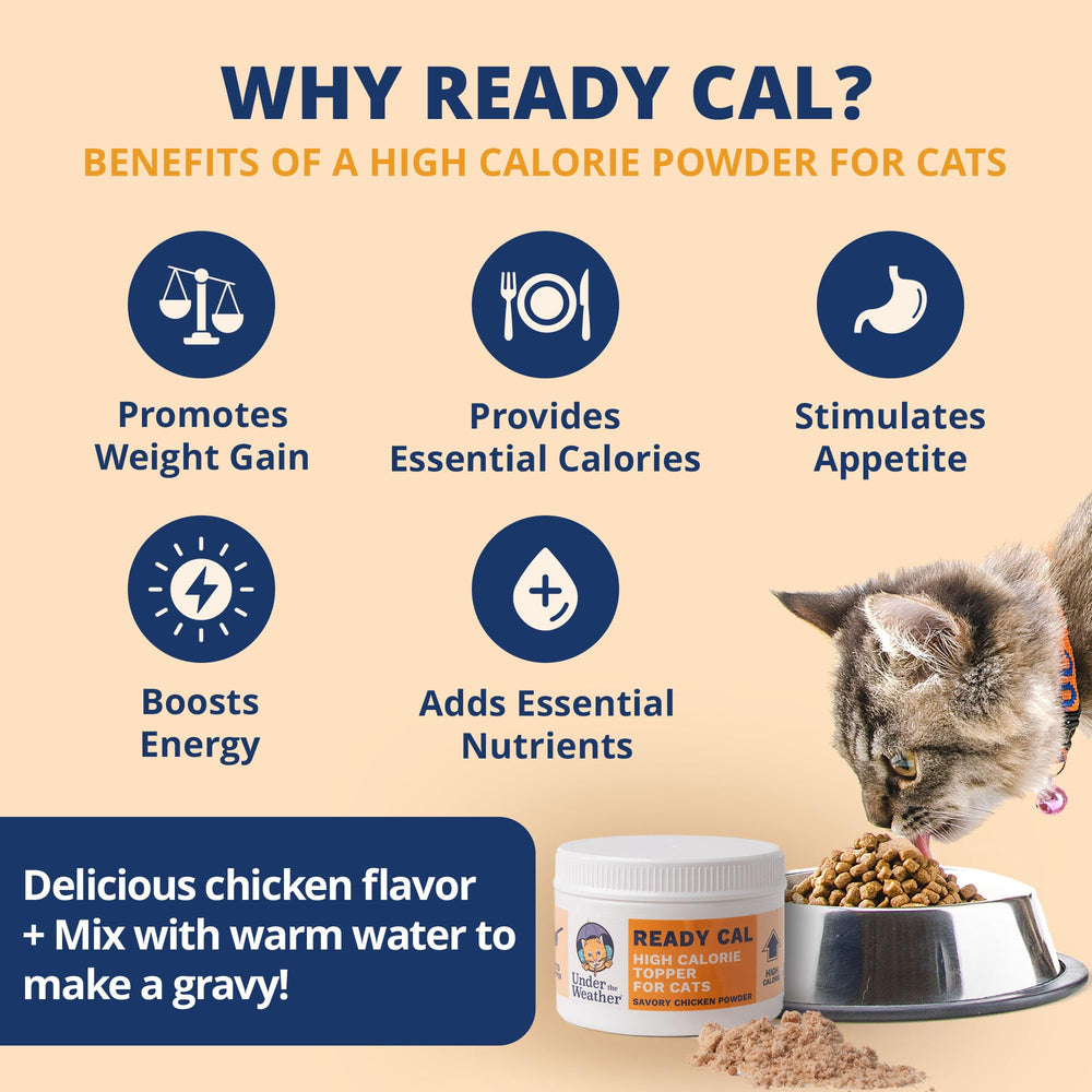 Under the Weather Ready Cal, sabor pollo, para estimular el apetito del gato.