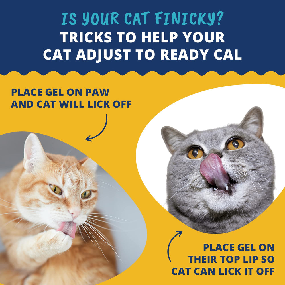 Under The Weather Ready Cal para Gatos, dosificación precisa para cada dosis.