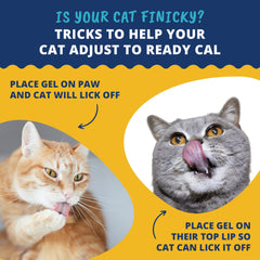 Under The Weather Ready Cal para Gatos, dosificación precisa para cada dosis.