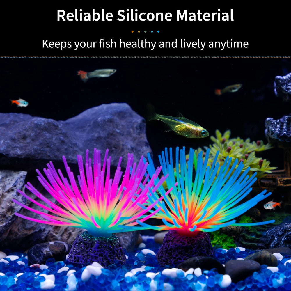 Uniclife erizo azul iridiscente, añade color y profundidad al acuario.