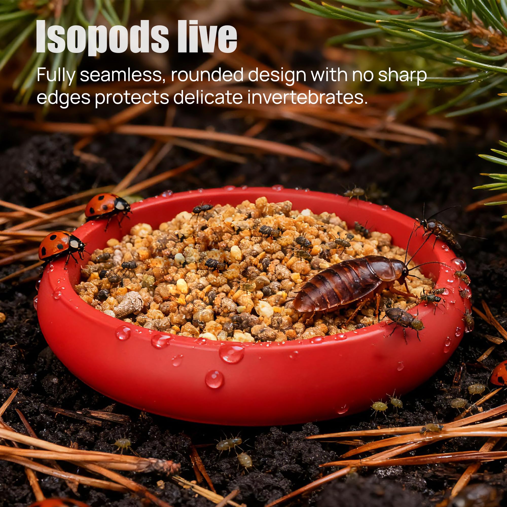 UNISOLODECHO plato alimento borde redondeado protege insectos delicados