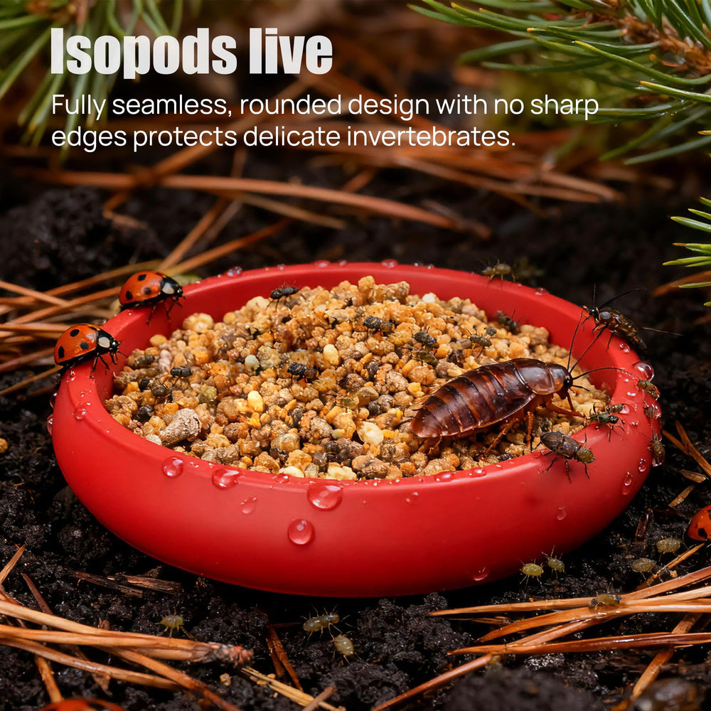 UNISOLODECHO plato alimento borde redondeado protege insectos delicados