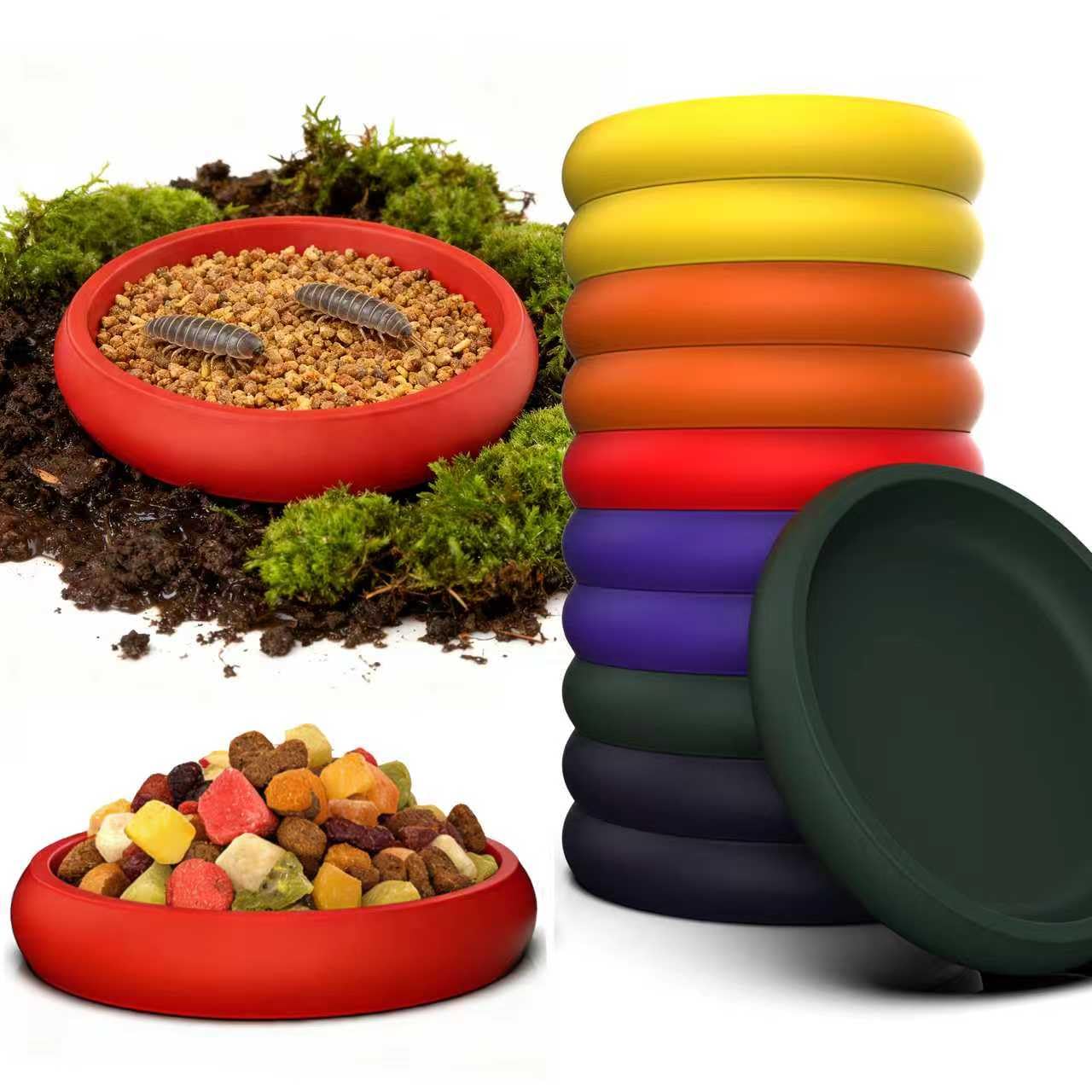 UNISOLODECHO plato alimento reptil con 6 colores brillantes para organizar el terrario