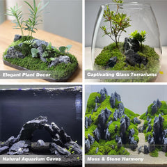 Piedras Seiryu para acuario con temática de río, crean lecho natural y flujo suave.
