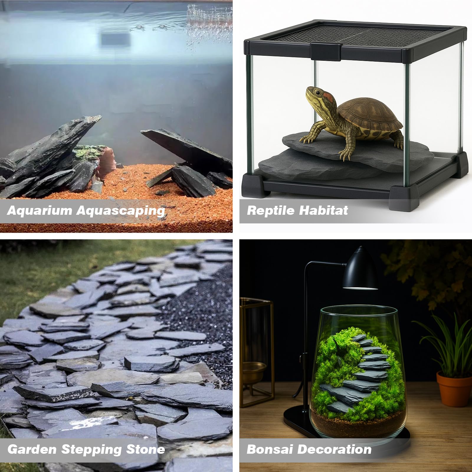 Unocho plataforma terrario, pizarra, base estable para reptiles.