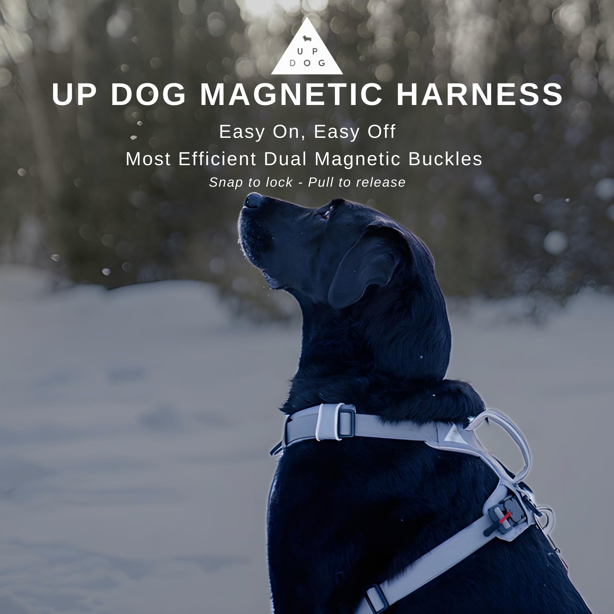 Up Dog Toys ribete reflectante para seguridad nocturna.