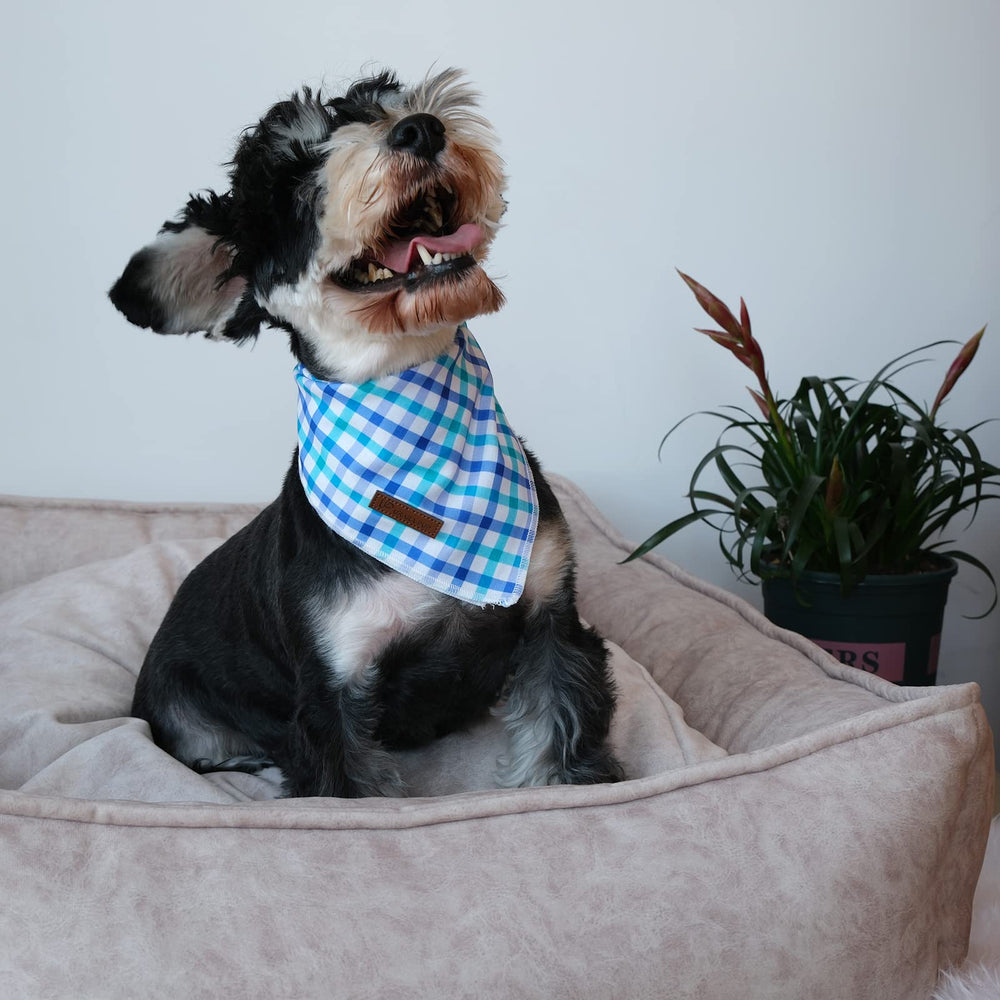 Bandana clásica de UP URARA PUP en azul, añade estilo veraniego a tu perro